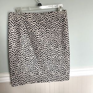 Loft 6P Navy / Cream Skirt